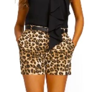 New York & Company Leopard Print Shorts Size 12